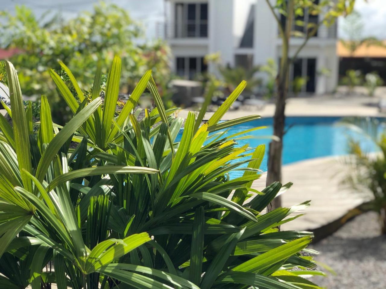 Tucan Resort & Spa Парамарибо Екстериор снимка
